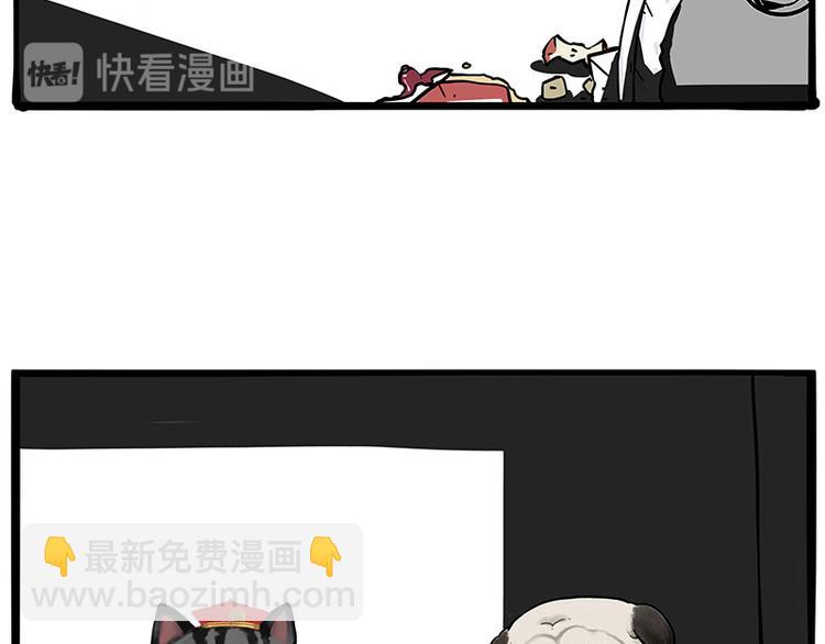 🍘吾皇巴扎黑 第267话 不让你流浪 第3页