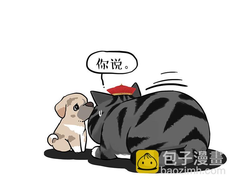 🍘吾皇巴扎黑 第267话 不让你流浪 第32页