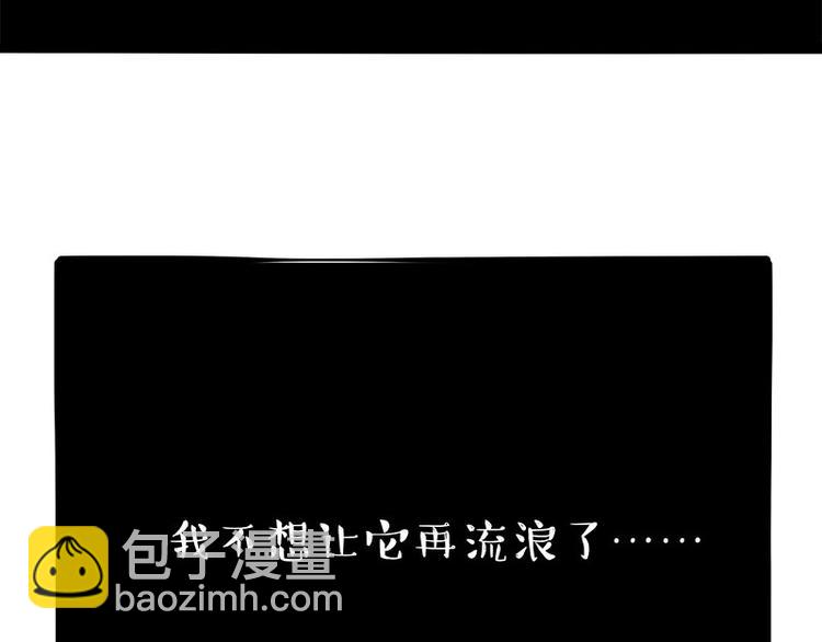 🍘吾皇巴扎黑 第267话 不让你流浪 第35页