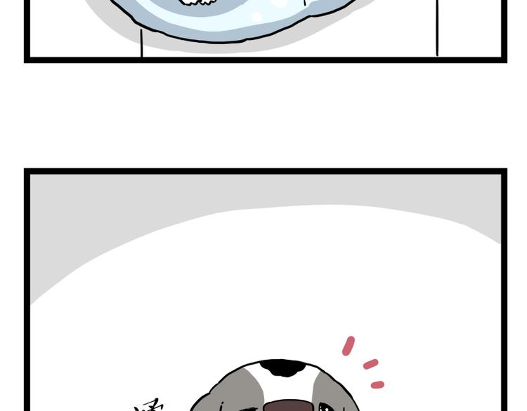 🍘吾皇巴扎黑 第267话 不让你流浪 第40页