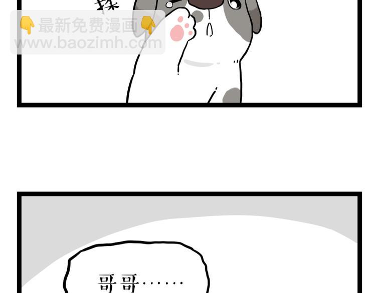 🍘吾皇巴扎黑 第267话 不让你流浪 第41页