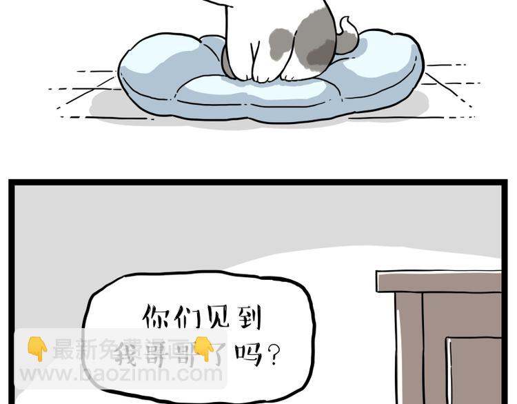 🍘吾皇巴扎黑 第267话 不让你流浪 第44页
