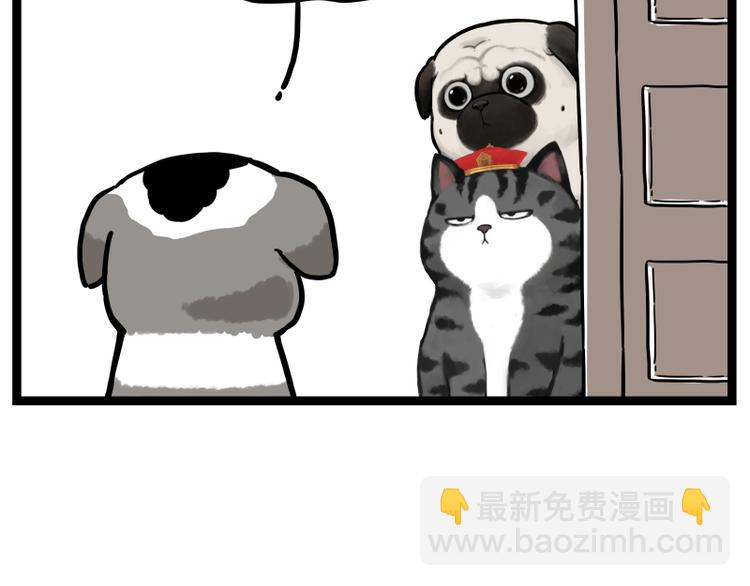 🍘吾皇巴扎黑 第267话 不让你流浪 第45页