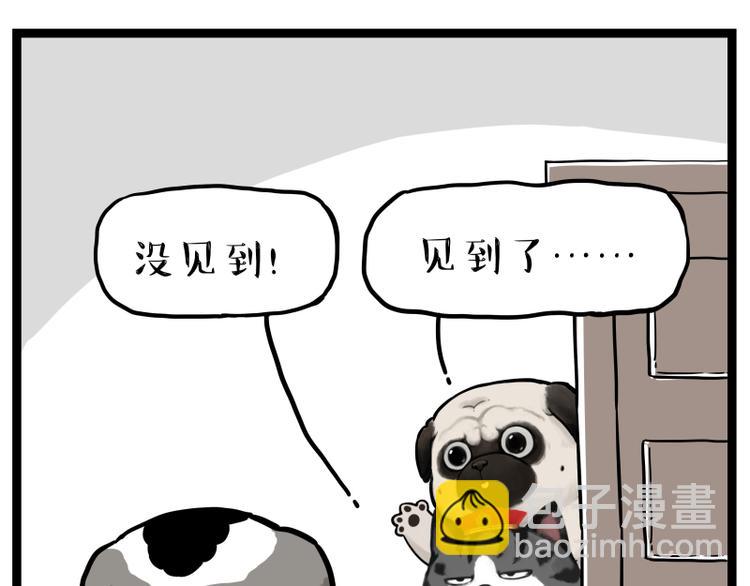 🍘吾皇巴扎黑 第267话 不让你流浪 第46页