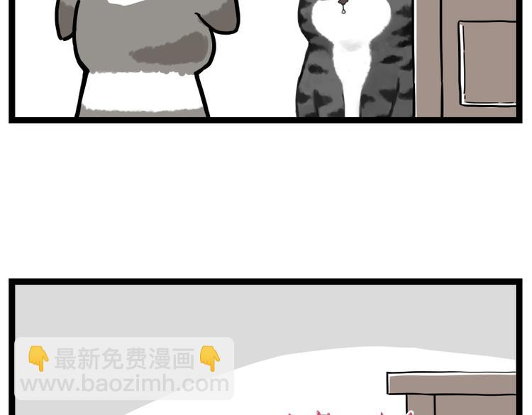 🍘吾皇巴扎黑 第267话 不让你流浪 第47页