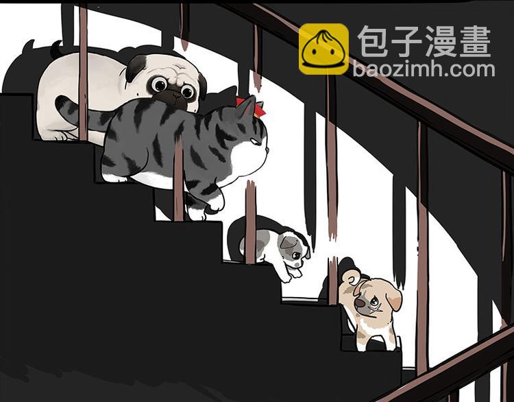 🍘吾皇巴扎黑 第267话 不让你流浪 第6页