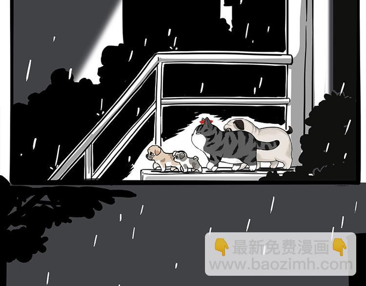 🍘吾皇巴扎黑 第267话 不让你流浪 第9页