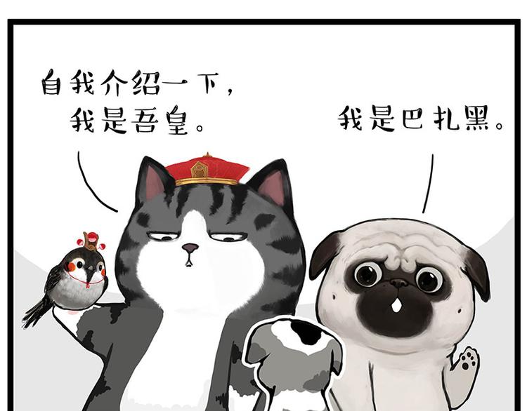 🍘吾皇巴扎黑 第269话 跟我回家吧 第1页