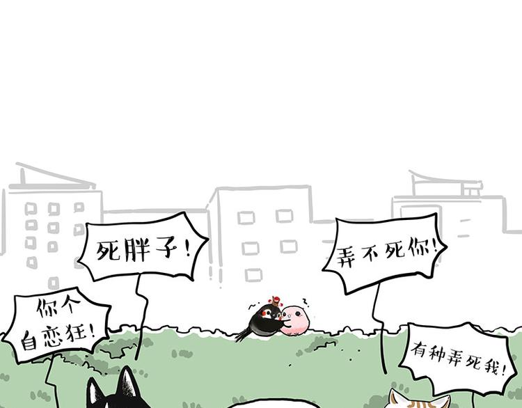🍘吾皇巴扎黑 第269话 跟我回家吧 第10页