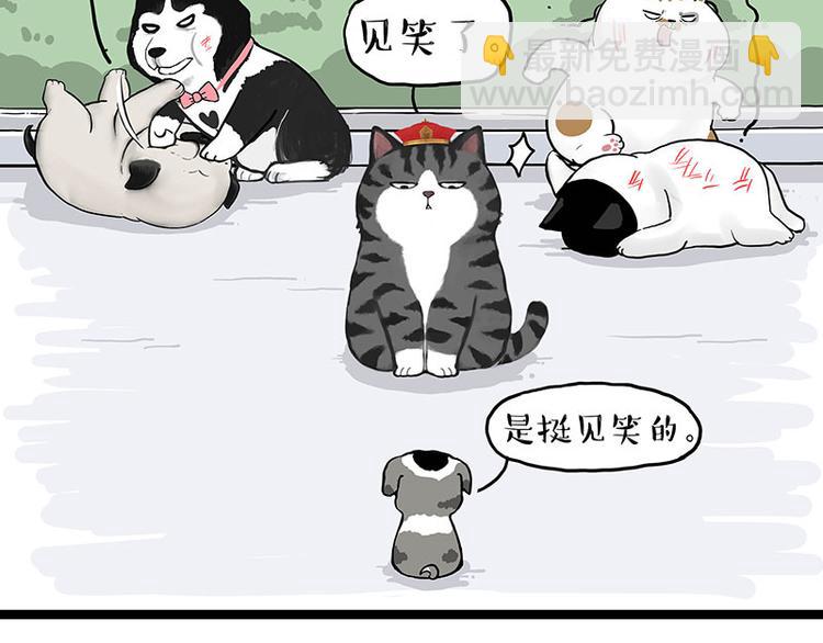 🍘吾皇巴扎黑 第269话 跟我回家吧 第11页