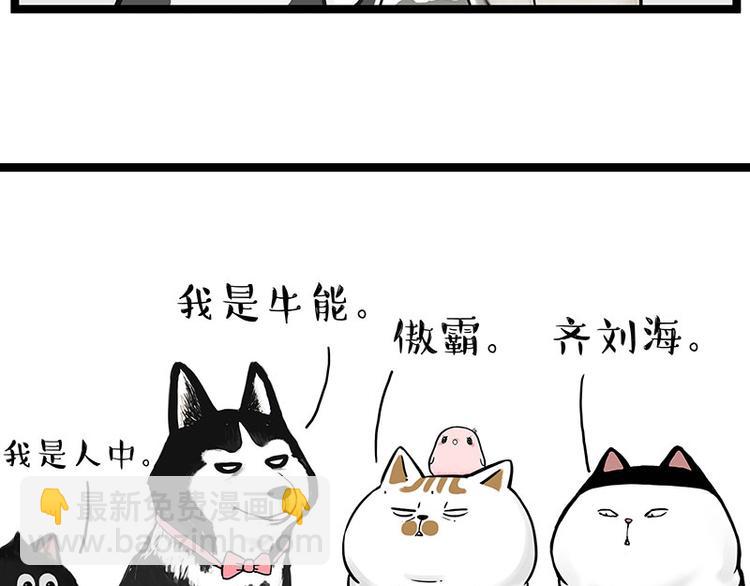 🍘吾皇巴扎黑 第269话 跟我回家吧 第2页