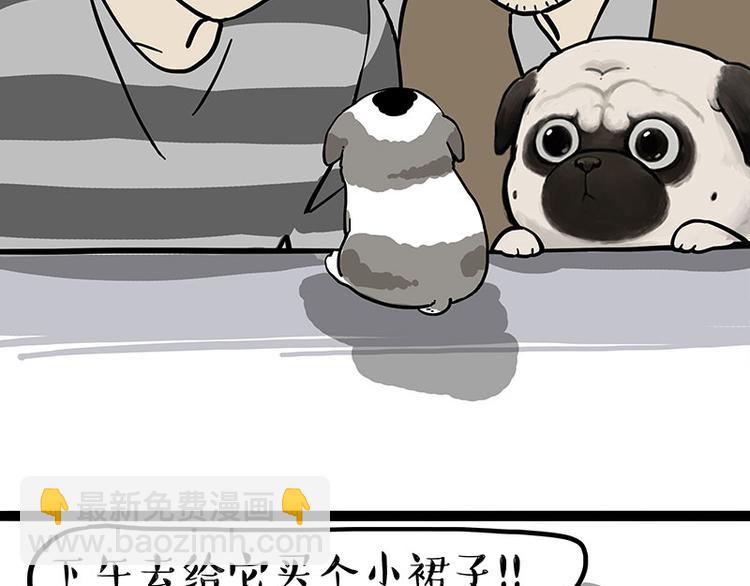 🍘吾皇巴扎黑 第269话 跟我回家吧 第21页