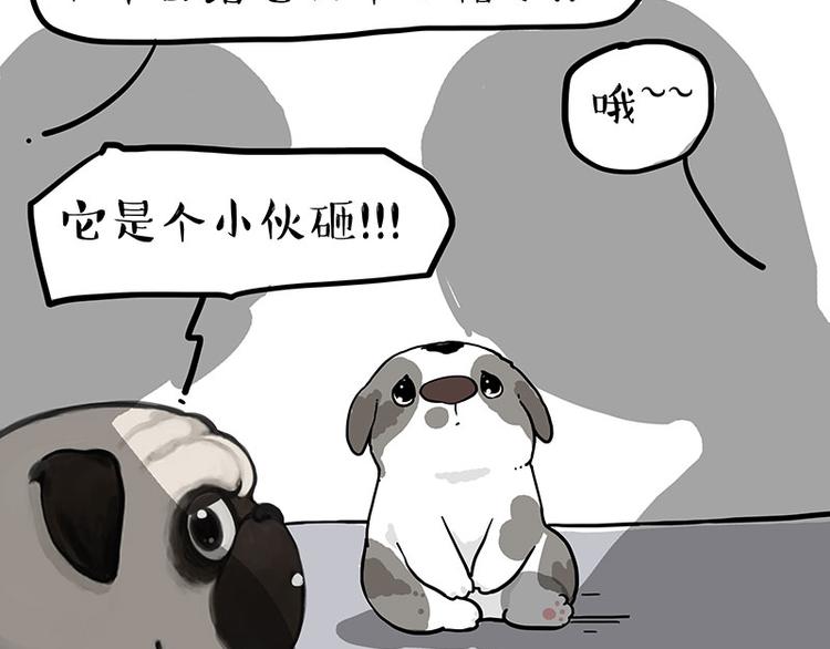 🍘吾皇巴扎黑 第269话 跟我回家吧 第22页