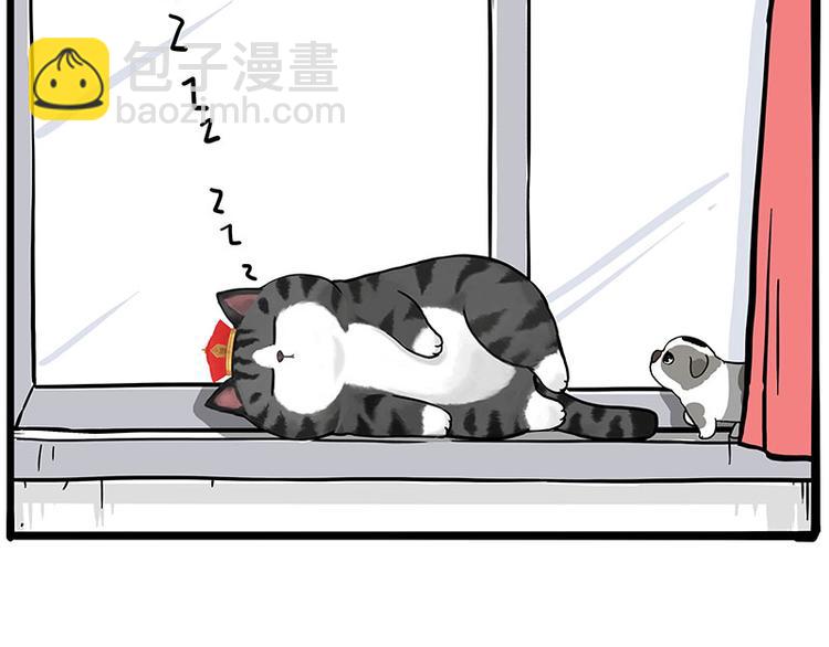 🍘吾皇巴扎黑 第269话 跟我回家吧 第25页