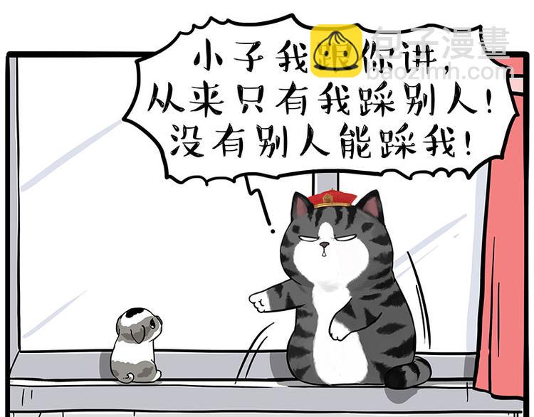 🍘吾皇巴扎黑 第269话 跟我回家吧 第30页