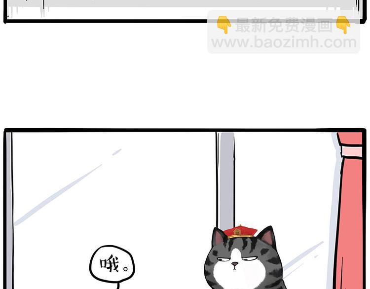 🍘吾皇巴扎黑 第269话 跟我回家吧 第31页