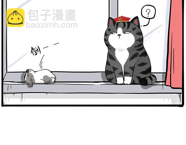 🍘吾皇巴扎黑 第269话 跟我回家吧 第33页