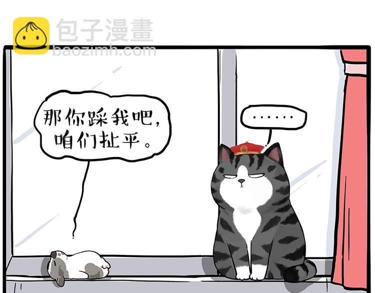 🍘吾皇巴扎黑 第269话 跟我回家吧 第34页