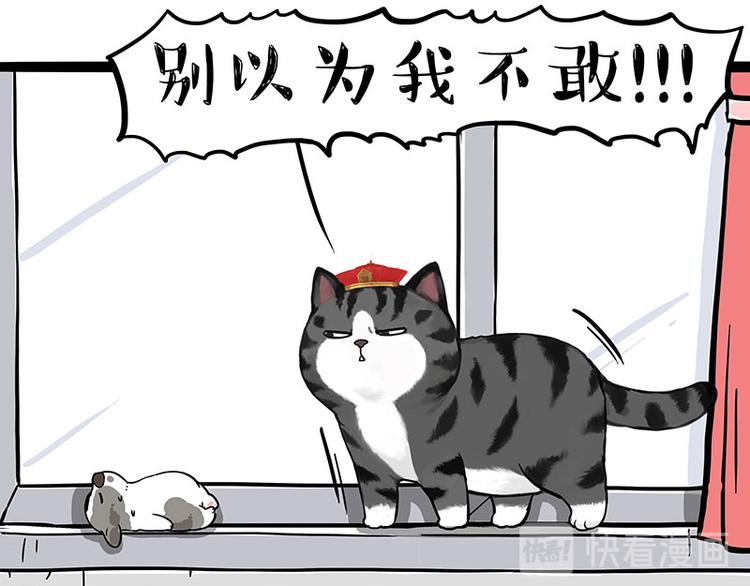 🍘吾皇巴扎黑 第269话 跟我回家吧 第36页