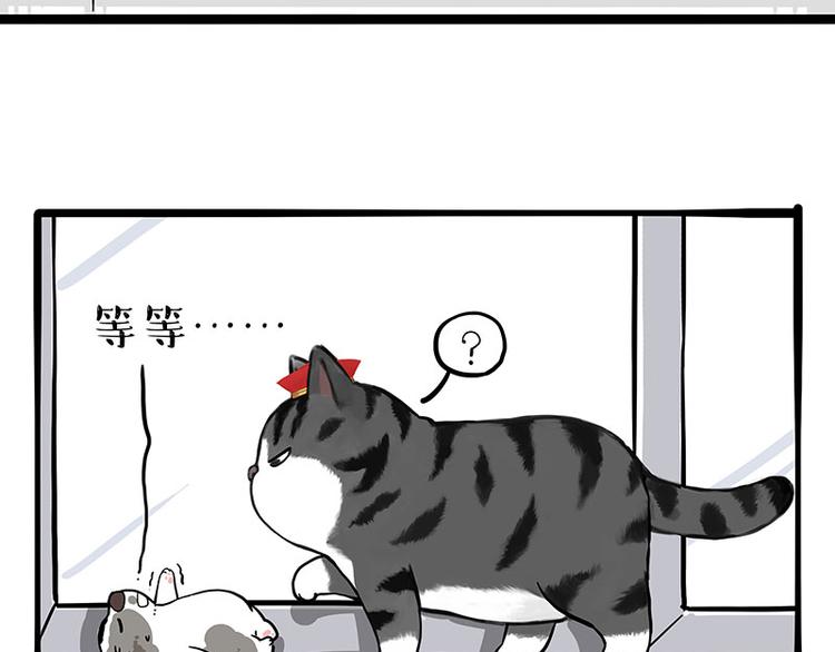 🍘吾皇巴扎黑 第269话 跟我回家吧 第37页