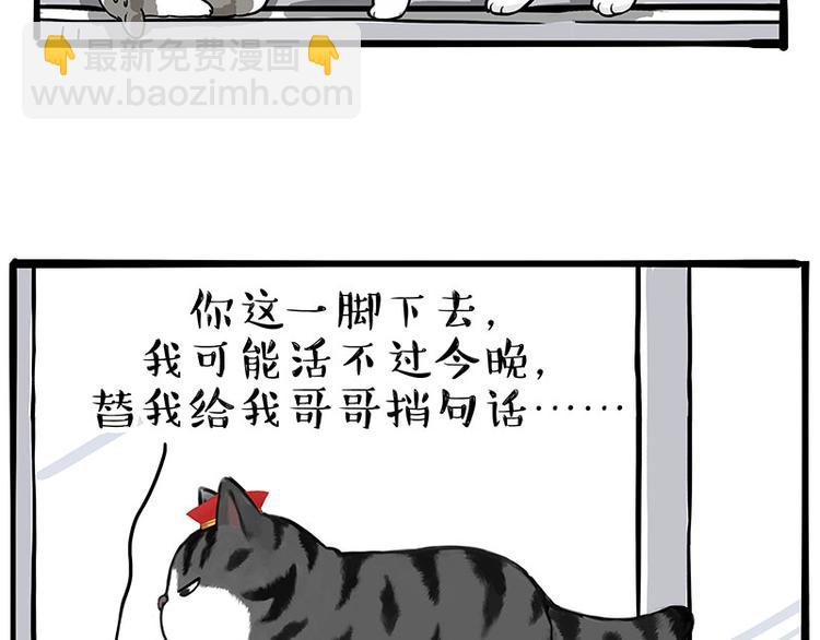 🍘吾皇巴扎黑 第269话 跟我回家吧 第38页