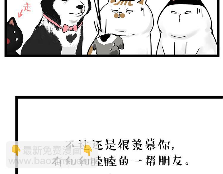 🍘吾皇巴扎黑 第269话 跟我回家吧 第4页