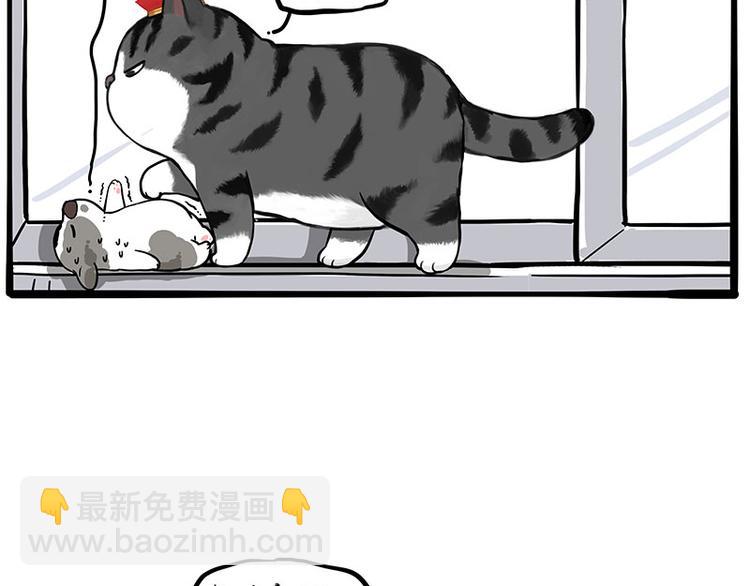 🍘吾皇巴扎黑 第269话 跟我回家吧 第40页
