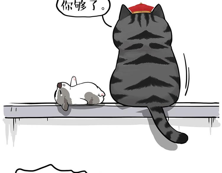 🍘吾皇巴扎黑 第269话 跟我回家吧 第41页