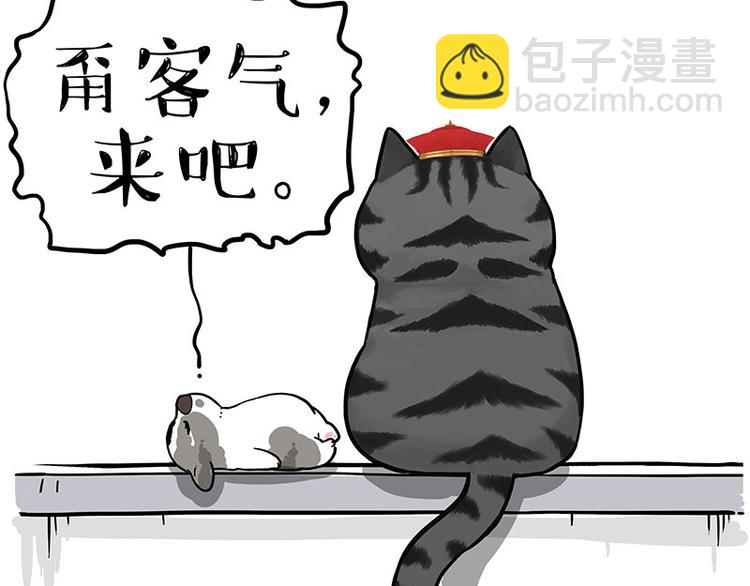 🍘吾皇巴扎黑 第269话 跟我回家吧 第42页