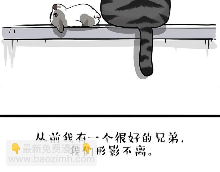 🍘吾皇巴扎黑 第269话 跟我回家吧 第44页