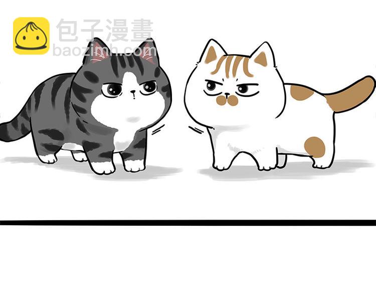 🍘吾皇巴扎黑 第269话 跟我回家吧 第45页
