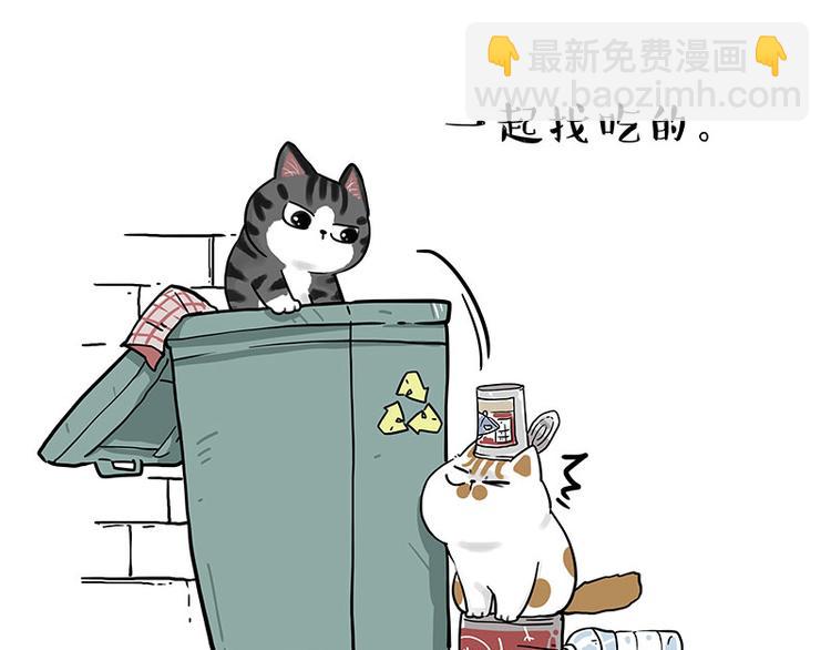 🍘吾皇巴扎黑 第269话 跟我回家吧 第46页