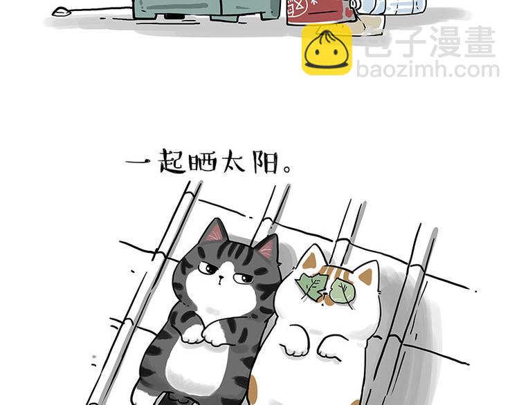 🍘吾皇巴扎黑 第269话 跟我回家吧 第47页