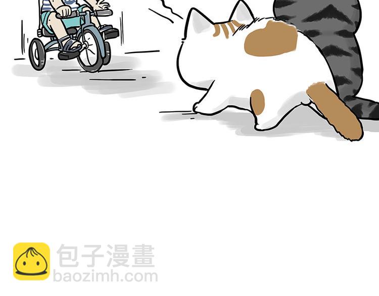 🍘吾皇巴扎黑 第269话 跟我回家吧 第49页