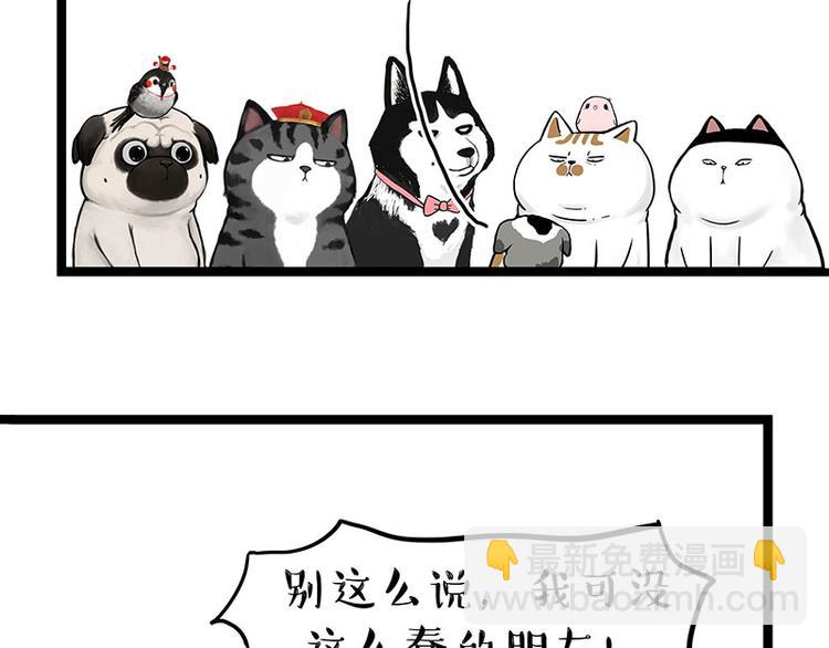 🍘吾皇巴扎黑 第269话 跟我回家吧 第5页