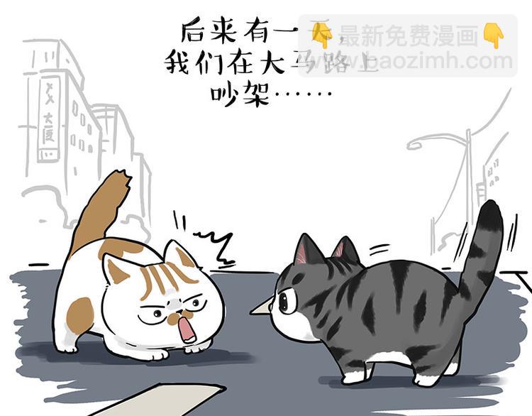 🍘吾皇巴扎黑 第269话 跟我回家吧 第50页