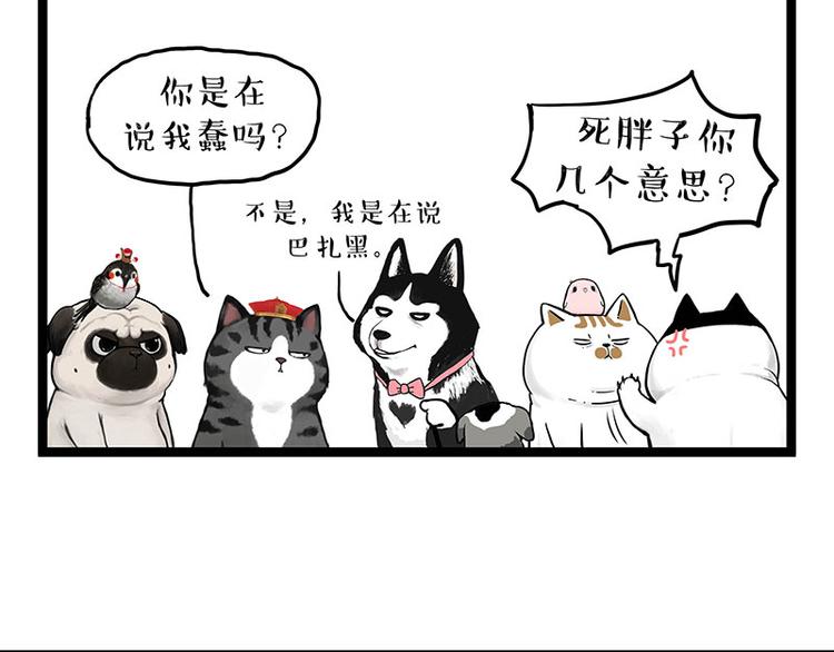 🍘吾皇巴扎黑 第269话 跟我回家吧 第7页