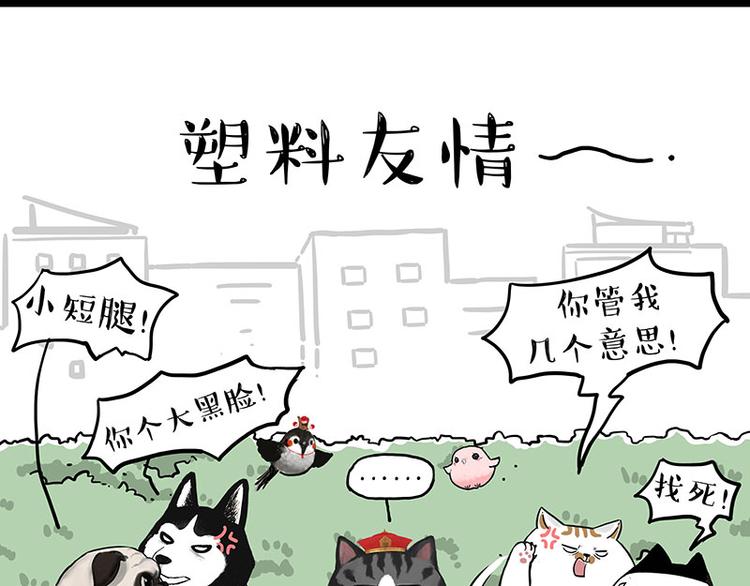 🍘吾皇巴扎黑 第269话 跟我回家吧 第8页
