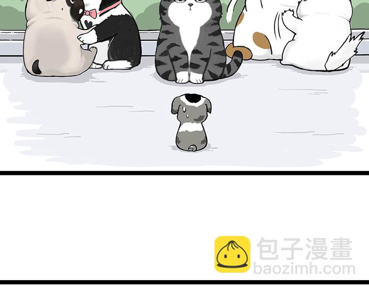 🍘吾皇巴扎黑 第269话 跟我回家吧 第9页