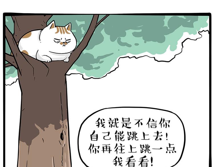 🍘吾皇巴扎黑 第271话 进击的流浪猫！ 第1页