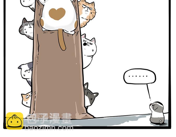 🍘吾皇巴扎黑 第271话 进击的流浪猫！ 第10页
