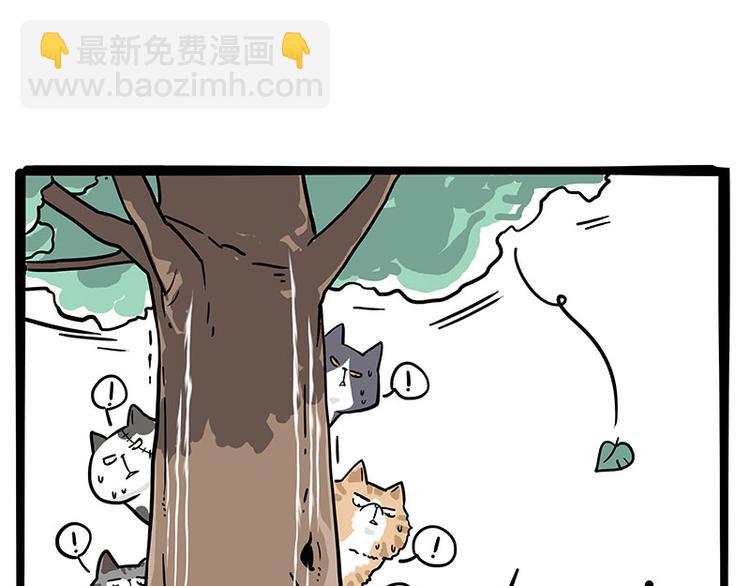 🍘吾皇巴扎黑 第271话 进击的流浪猫！ 第11页