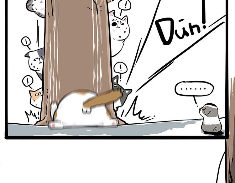 🍘吾皇巴扎黑 第271话 进击的流浪猫！ 第12页