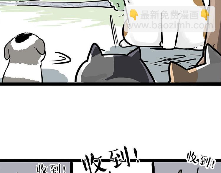 🍘吾皇巴扎黑 第271话 进击的流浪猫！ 第14页