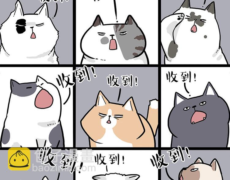 🍘吾皇巴扎黑 第271话 进击的流浪猫！ 第15页