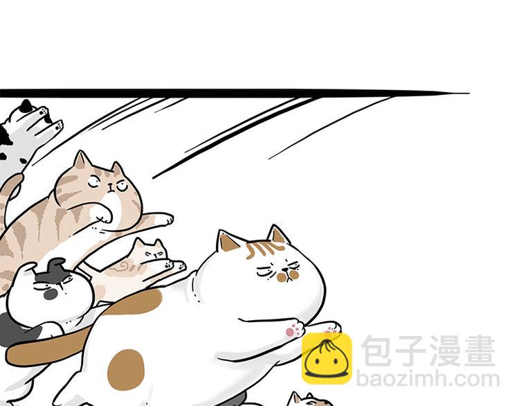 🍘吾皇巴扎黑 第271话 进击的流浪猫！ 第17页