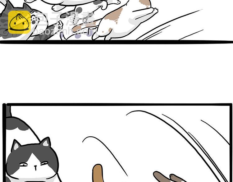 🍘吾皇巴扎黑 第271话 进击的流浪猫！ 第18页