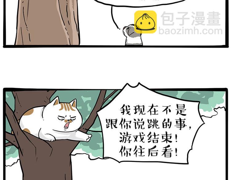 🍘吾皇巴扎黑 第271话 进击的流浪猫！ 第2页