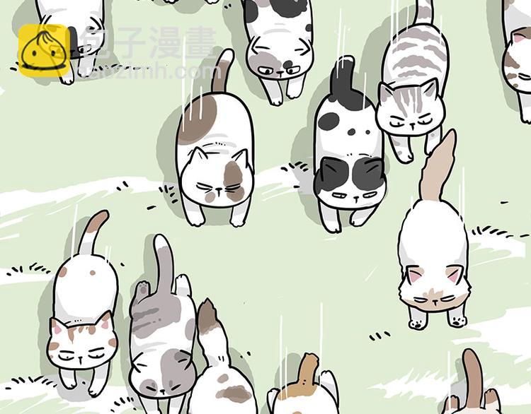 🍘吾皇巴扎黑 第271话 进击的流浪猫！ 第20页