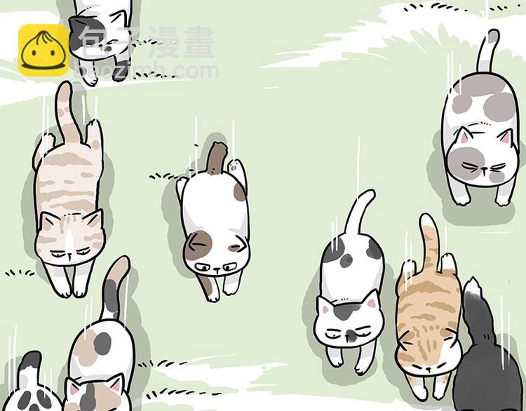 🍘吾皇巴扎黑 第271话 进击的流浪猫！ 第22页
